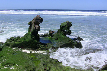 希洛港口查询_hilo港口代码_美属太平洋群岛希洛港口代码